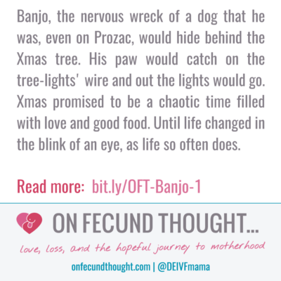 The Last Days of Banjo (Part 1)
